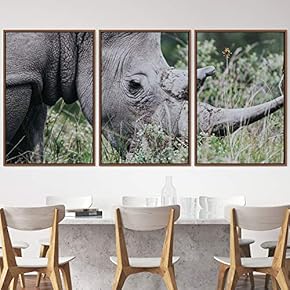 signwin 3 Piece Framed Canvas Wall Art Wild...