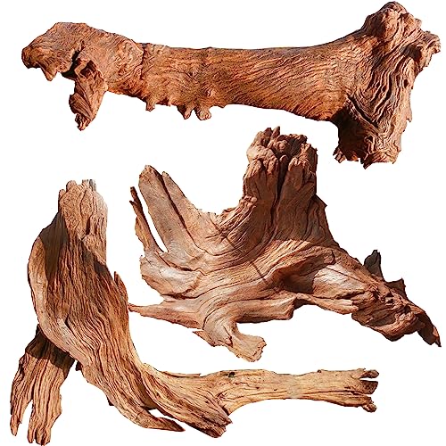 Top 10 Picks Best Is Driftwood Good For Aquarium For 2024 Glory Cycles