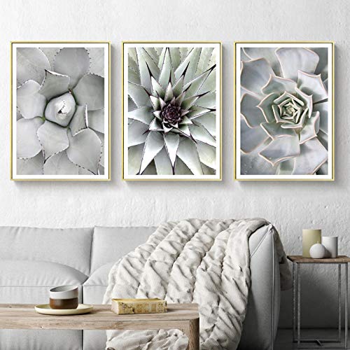 Impression sur toile botanique : triptyque de plantes minimalistes 50x70cm