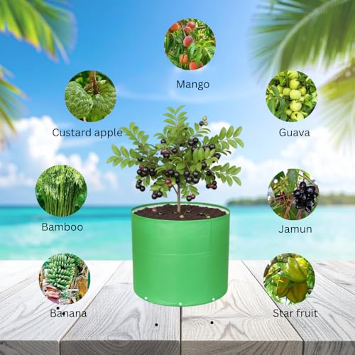 Image of HDPE UV Treated 340 GSM Plant Growing Bags for Terrace Gardening Easy to Use 24 x 18 Inch - Pack of 2
