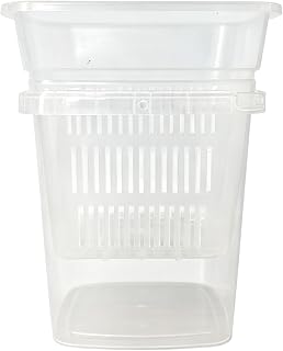 Lightweight Accessories for Growing Potted : Triple Ventilated Container, Ideal for Indoor and Outdoor Use, 12cm