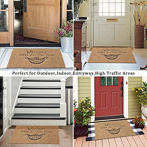 Funny Door Mats Outdoor Welcome Mats for Front Door We're All Mad Here Door Mat Indoor Non-slip Super Absorb Mud Easy to Clean Large Doormat Brown