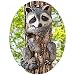 Ct Discount Store Raccoon Tree Hugger,7-1/2"W x 4-3/4"D x 13-3/8"H