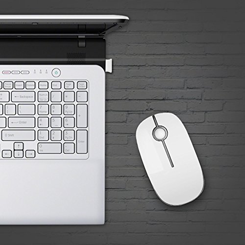 Image of VssoPlor Wireless Mouse, 2.4G Slim Portable Computer Laptop Mouse with Nano Receiver Quiet Silent Optical Mice for Notebook, PC, Laptop, Computer-White and Silver