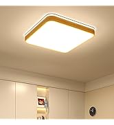 Amazon.co.jp : GaUmiME シーリングライト led 調光 調色