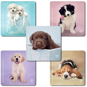 SmileMakers Rachael Hale Hunde Aufkleber, 100 Stück