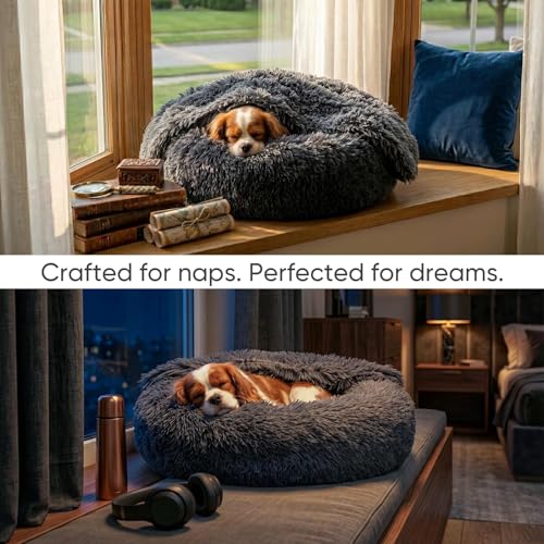 Image of Himax Dog Beds for Small Dogs, Donut Dogs Beds with Blanket Attached, Calming Dog Bed Washable (20 inch /26 inch /35 inch) Grey