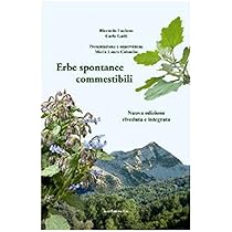 Erbe spontanee commestibili