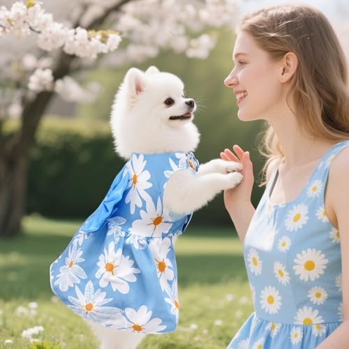 choyaxo 4pcs Cute Dog Dress Pet Dress Puppy Skirt Summer Pet Clothes for Puppy Small Cats - Image 4