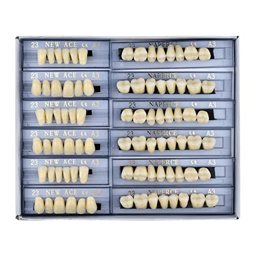 168 Pcs Dental Synthetic Resin Tooth Denture 3 Sets False Teeth 23 A3 Upper Lower Shade Dental For Halloween Horror Teeth #TOP1