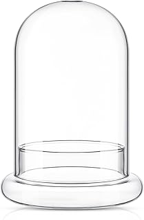 10 Halloween Planter Ideas for Seasonal Outdoor Decor 4 Perthlin 1 Pcs 5.9 x 7.9 Inch Glass Terrarium Clear Terrarium Planter Co...