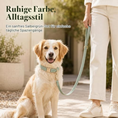 YUDOTE Hundehalsband und Leine Set Klein, Weiche Reizfreie Cord-Halsband-Leine Passende Combo für Den Täglichen Spaziergang, Salbeigrün