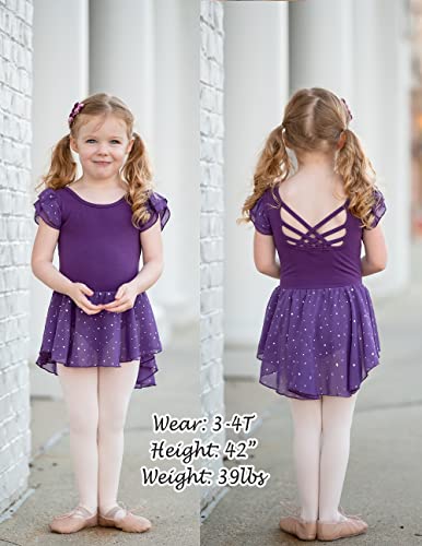 Arshiner BAS005982_BP_140 Girls Shiny Ruffle Sleeve Ballet Leotard With Skirt Criss-Cross Back Dance Dresses Dark Purple,Little Kid thumb #3