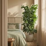 BLAINE | Mango 150cm | Plantas Artificiales Decorativas | Planta Artificial Grande | Plantas Artificiales para Interior/Exterior | Planta Artificial Realista Decorativa para Casa