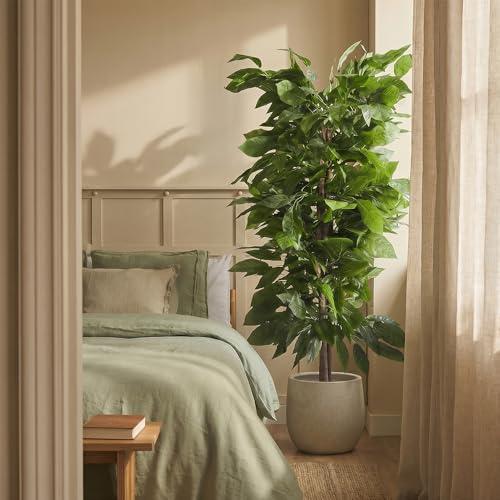 BLAINE | Albero di Mango 150cm | Piante Artificiali Decorative | Pianta Artificiale Grande | Piante Artificiali per Interni/Esterni | Pianta Artificiale Realistica Decorativa per la Casa