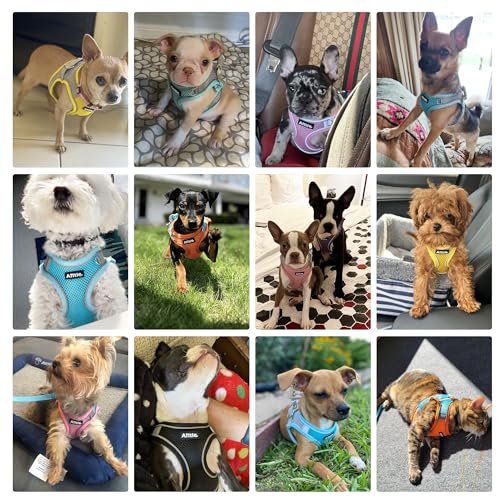 AIITLE Dog Harness, No-Pull Cat Harness with a Leash, Adjustable Reflective Dog Vest, Cat Harness Escape Proof - Image 2