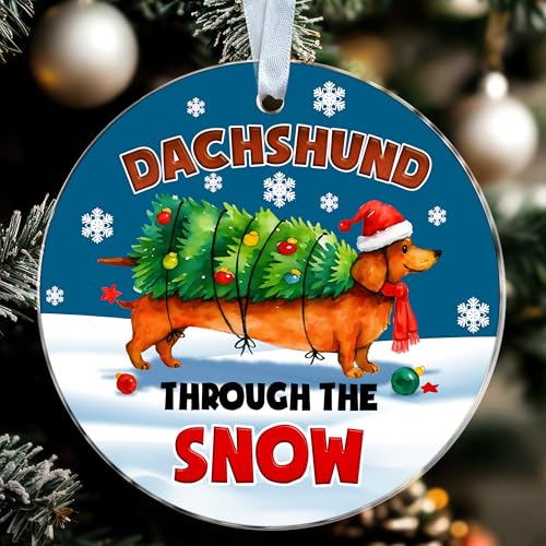 GoGi93Art Dachshund Through The Snow Christmas Ornament - Funny Sausage Dog Acrylic Decor - Wiener Dog Holiday Xmas Tree Decoration