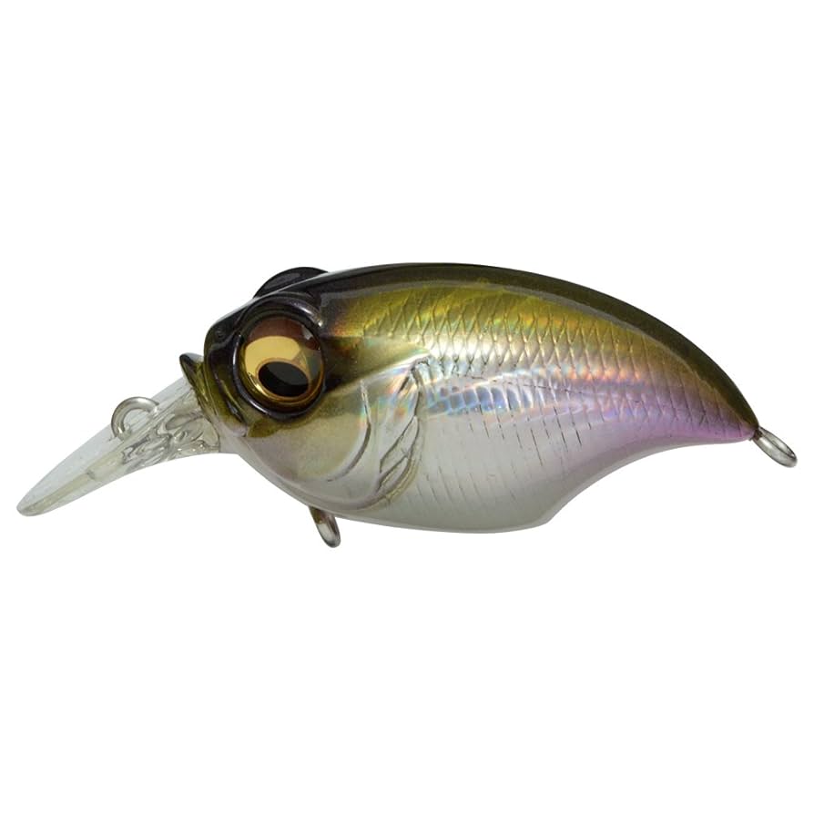 【Megabass メガバス】ルアー2点セット パンドラボックス グリフォン Amazon.co.jp: メガバス(Megabass) ルアー New SR-X GRIFFON