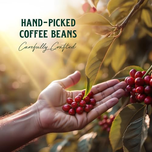 Image of PERCOL Espresso Noir Premium Coffee Sachets | 5 Sachets x 2gm | 100% Pure Freeze Dried Instant Coffee | Premium Imported Beans | Flavorful & Aromatic | Single Serve Sticks | Best For Hot & Cold