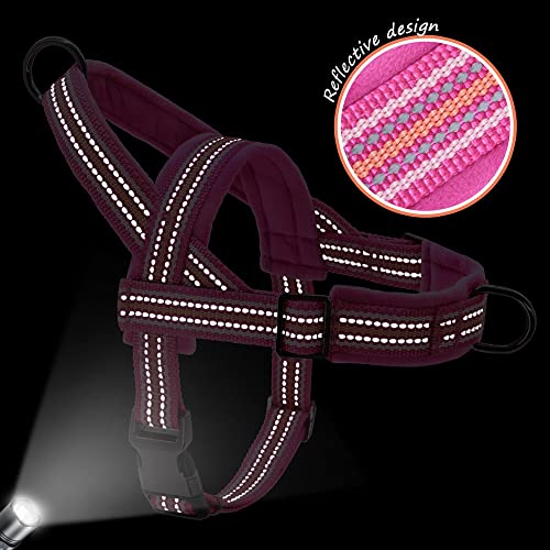 Imbracatura per Bulldog Francese No Pull Pet Imbracatura per Cani Imbottita in Nylon Imbracatura Riflettente per Cani di Piccola e Media Taglia