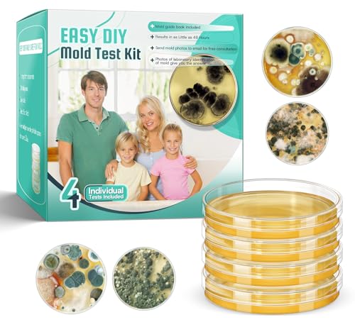 Mold Test Kit for Home Detection: 4 Simple DIY Sci