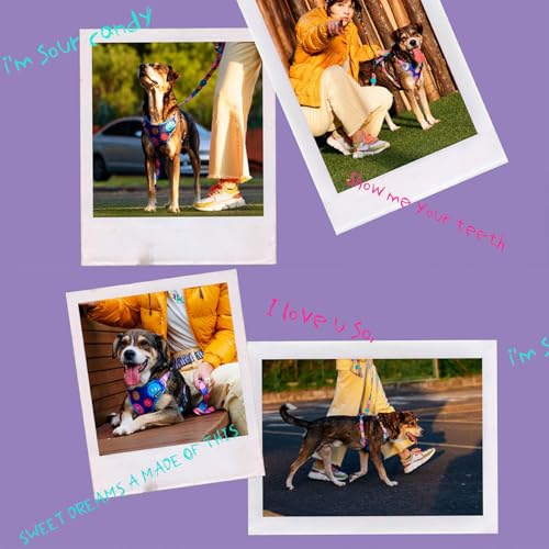 Freefaro - Bandana Candy - Tam.M