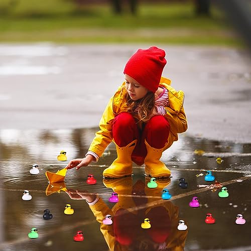 image for Sratte 120 Pcs Duck Tags with Rubber Ducks, Ducks Bulk with Tags for D