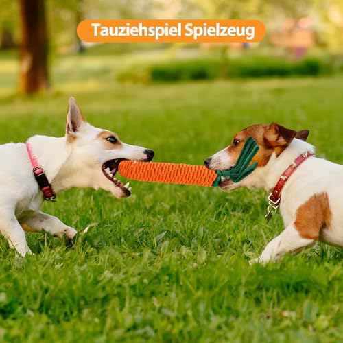 LIFLIX Hundeseilspielzeug Seil Karotte, Zerrspielzeug für Hunde, Hundespielzeug Geflochten mit Knitterpapier Anhängern, Möhre
