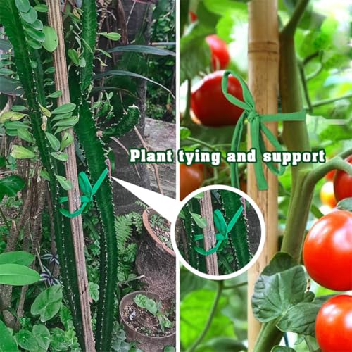 Cinta elástica para plantas, 2 rollos, 30 m miniatura 4