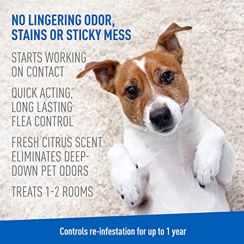 Farnam 100546732 Adams Plus Carpet Powder, Kills Fleas And Ticks thumb #4