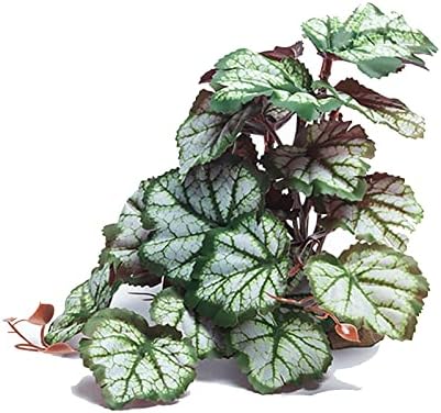 Woyrise Reptile Artificial Plants for Terrarium Decor, Amphibian ...