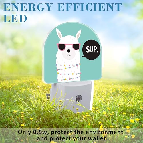 Image of Night Light for Kids Girls Boys, Cute White Llama LED Night Light Plug into Wall with Dusk to Dawn Sensor for Room Decor, Hallway, Kitchen, Bathroom, Nursery, Stairs