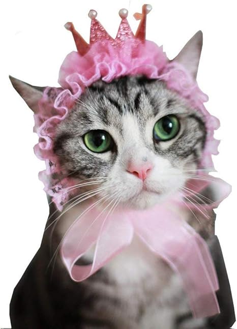 Amazon Co Jp Onior ペット王冠 帽子 ねこ 猫 人気 猫犬 飾り パーティースタイル ピンクレースとパール 中型犬 猫 小動物 かわいい コスチューム パーティー ハッピー アイテム グッズ 変身 コスプレ ピンク ホビー