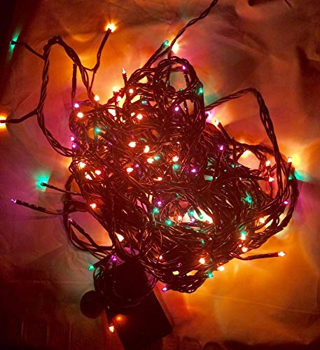 Image of Lexton Decorative 10 Meter Rice Light (Multicolor)