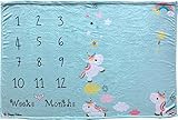 Happy Palace Baby Milestone Blanket, Weekly and Monthly Milestones (Floral Wreath and Frame Included) | Photo Backdrop Prop for Newborn Boy and Girl, for New Mom | Premium Fleece Large 60