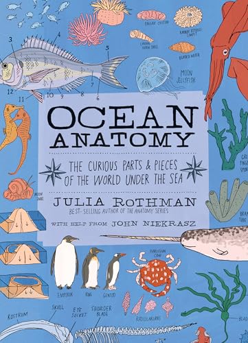 Ocean Anatomy: The Curious Parts & Pieces of the World