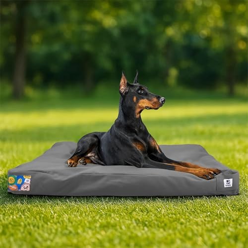 Sytopia 42 Inch Indestructible Canvas Outdoor Dog Bed for Extra L...