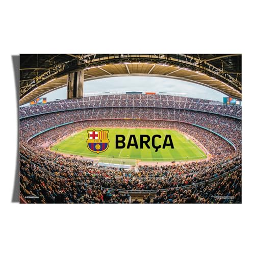 Desert Cactus FC Barcelona Paper Poster 11 x 17 inch Wall Decor (L)