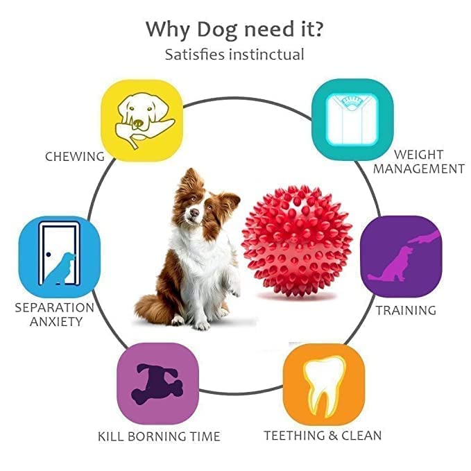 Image of Chew Toy, Silicone Dups Dogs Rubber Chew Toys I Combo of Ring Toyumbbell I and Squeaky Chicken Toy I for Small Dogs I Pack of-3 (Combo-F)