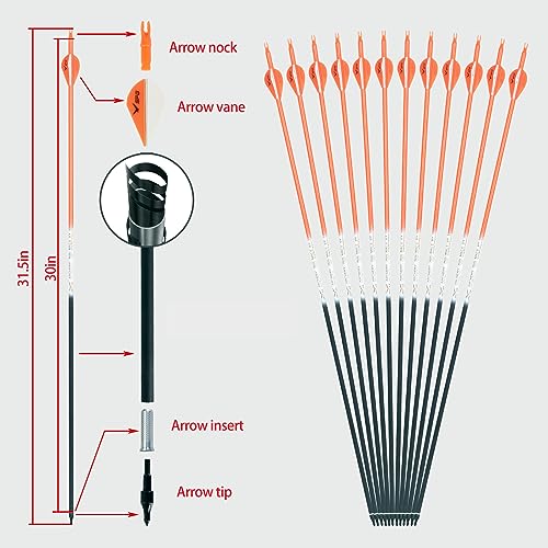 image for SPG 31 Inch Archery Arrows for Recurve, Durable Practice Arrows for Co
