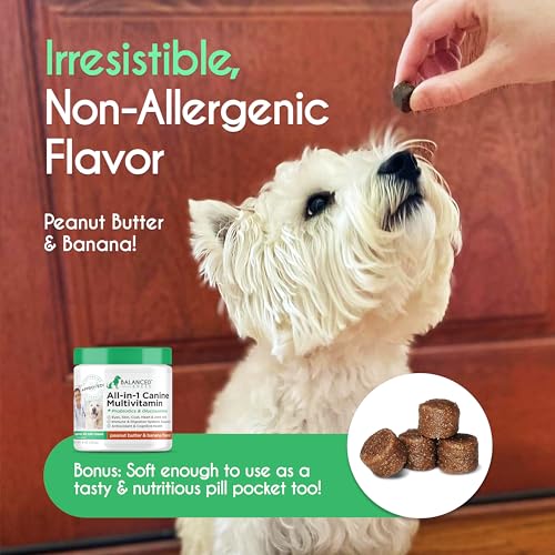 Balanced Breed All-in-1 Dog Vitamins Supplements Made in USA Non-GMO Vet-Pharmacist Approved Dog Multivitamin Probiotics Glucosamine Salmon Oil Skin Coat Supplement Dogs Senior & Adult Immune Support Balanced Breed All-in-1 Dog Vitamins Supplements Made in USA Non-GMO Vet-Pharmacist Approved Dog Multivitamin Probiotics Glucosamine Salmon Oil Skin Coat Supplement Dogs Senior & Adult Immune Support