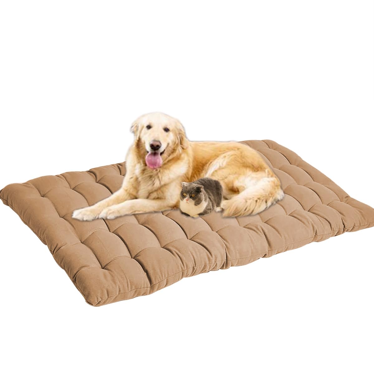 Lit lavable pour chien épais et doux : dimensions de 100,1 x 50 cm beige