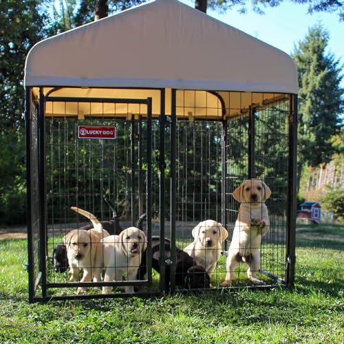 Lucky Dog Stay Series 4 by 4 by 4.3 Feet Studio Jr. Black Powder Coat Steel Frame Outdoor Dog Kennel with Waterproof Canopy Roof and Gate Door, Khaki - Thumbnail 5
