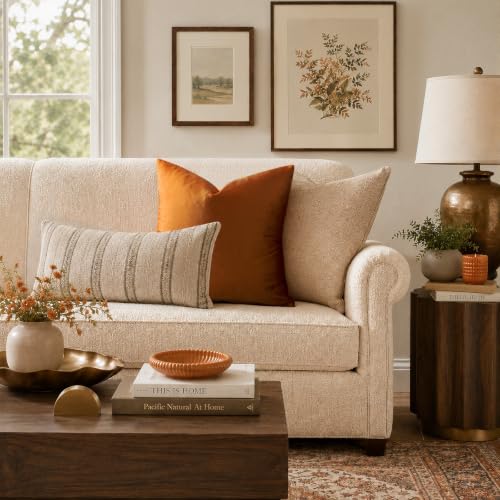 Image of GIGIZAZA Decorative Couch Throw Pillow Covers,Burnt Orange Square Pillow Cushion Covers 24x24,Pillow Cases Velvet Pillow Covers (Cinnamon, 24 x 24- Set of 2)