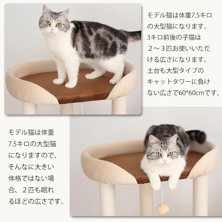 Amazon | LULUCAT キャットタワー 据え置き おしゃれ 【販売元LULUCAT  