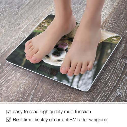 Báscula digital de baño con pantalla LCD y vidrio templado miniatura 5
