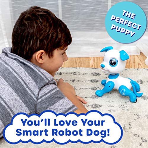 Robo Pets Robot Dog Toy for Girls and Boys - Remote Control Robot Toy Puppy with LEDs, Sound FX, Interactive Hand Motion Gestures, STEM Program Treats, Dancing and Walking RC Pet for Kids (Blue) by Power Your Fun - Image 6