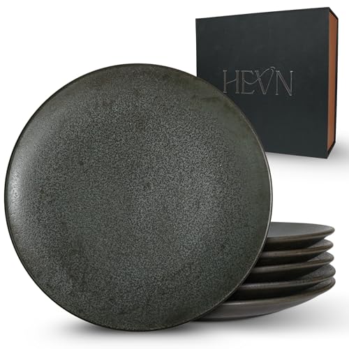 HEVN 6-Piece Stoneware Dinner Plates