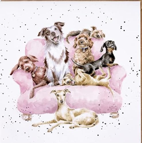 Wrendale Designs White "Movie Night Dog Scene Print On Square Canvas (20Cm X 20Cm)