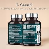 Apyforme - Lactobacillus Gasseri Bakterienstämme - Bis zu 50 Milliarden KBE/Tag - 60 Kapseln - 100% Französisch